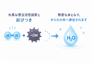 水素酸素